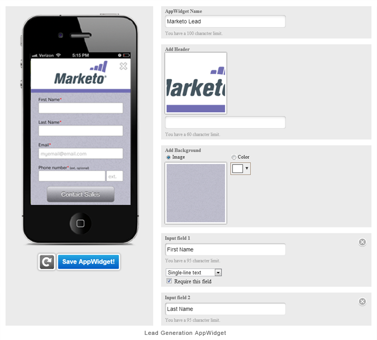 marketo_portal_leadgenform_2