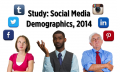 Social Media Demographics 2014